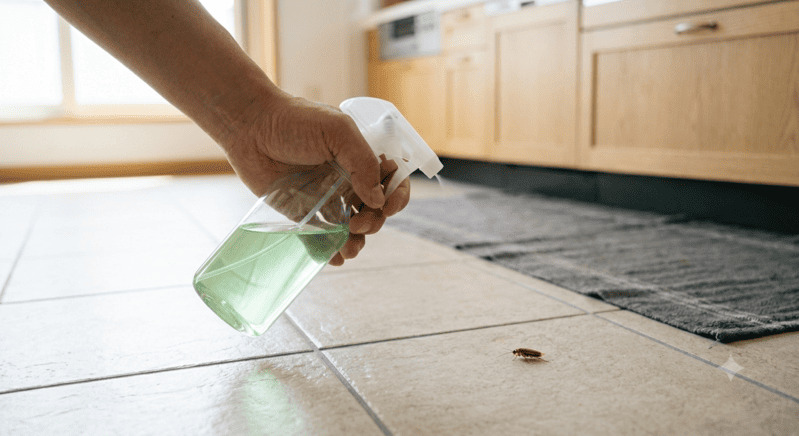 キッチンで洗剤スプレーを使いゴキブリを退治する様子