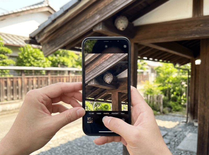 スマホのカメラで軒下の蜂の巣をズームして確認する様子
